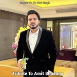 Tribute To Amit Bhadana - Rapper Yo Yo Navi Singh Song Download